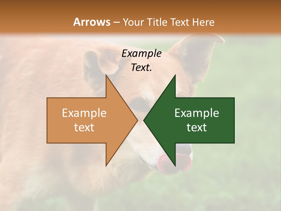 Sad Homeless Outdoor PowerPoint Template