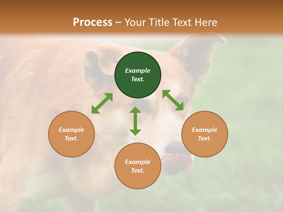 Sad Homeless Outdoor PowerPoint Template