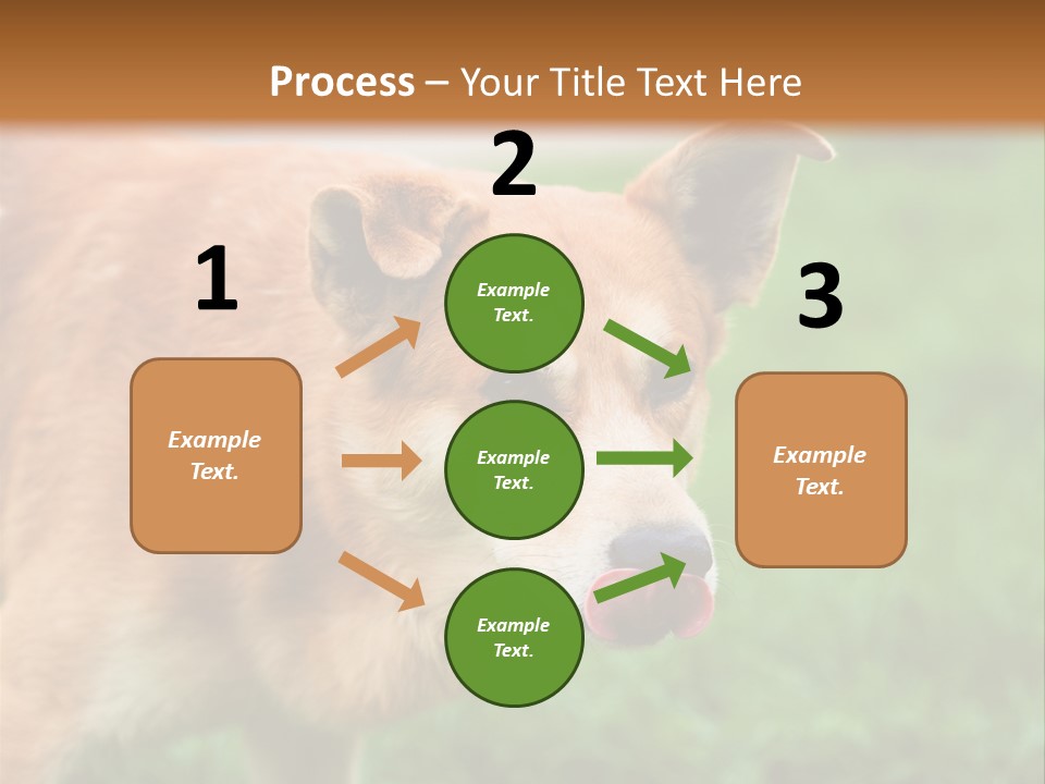 Sad Homeless Outdoor PowerPoint Template