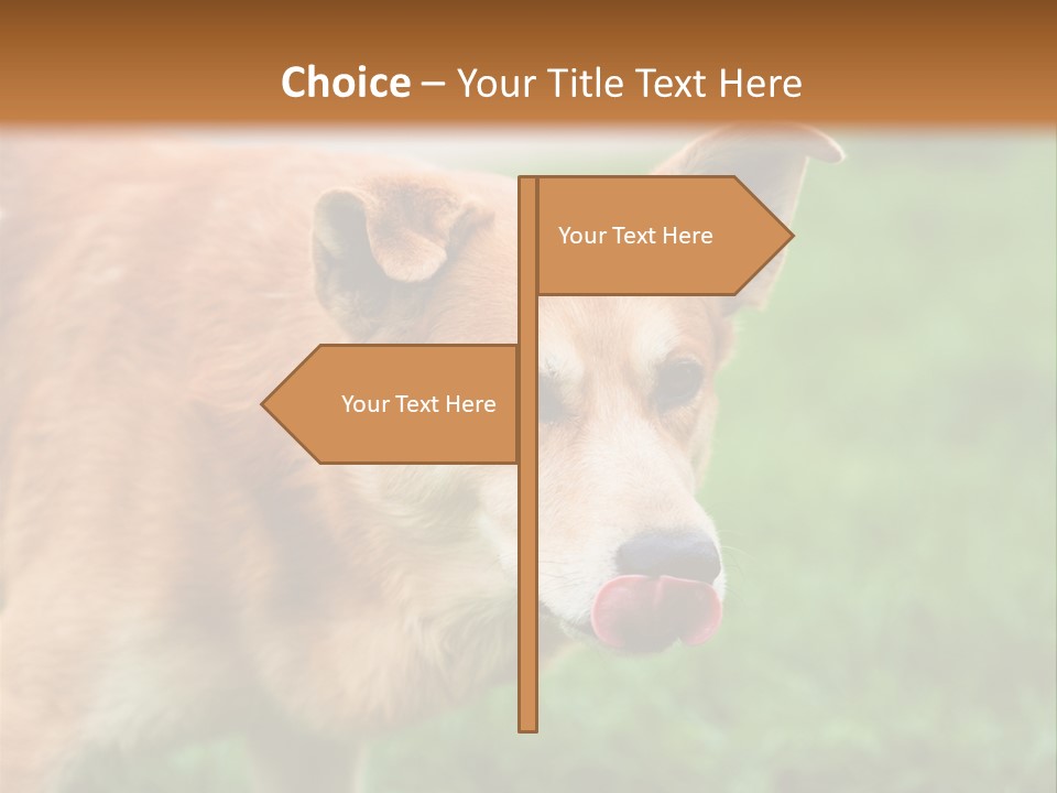 Sad Homeless Outdoor PowerPoint Template