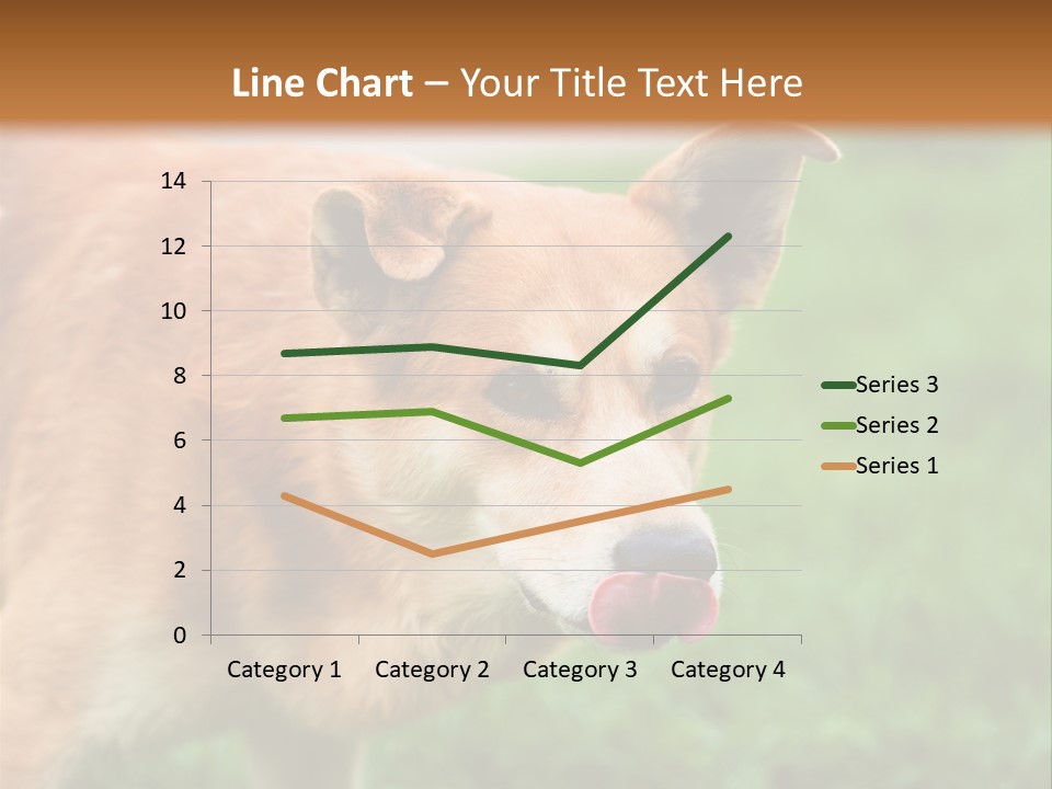 Sad Homeless Outdoor PowerPoint Template