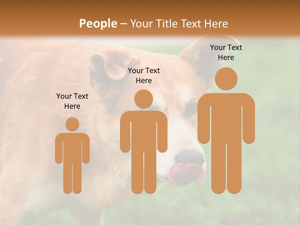 Sad Homeless Outdoor PowerPoint Template