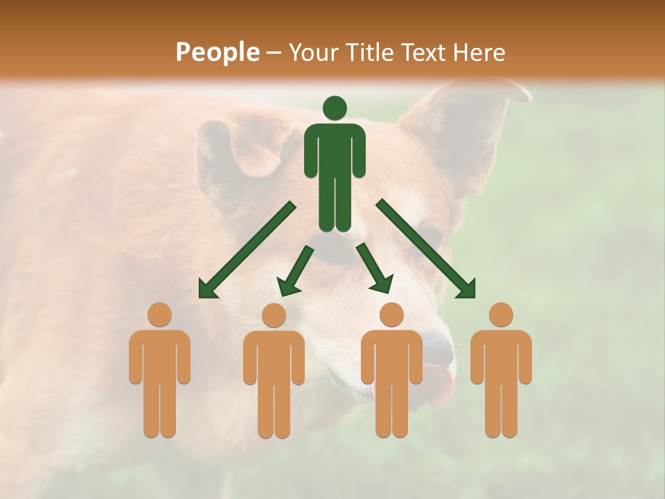 Sad Homeless Outdoor PowerPoint Template