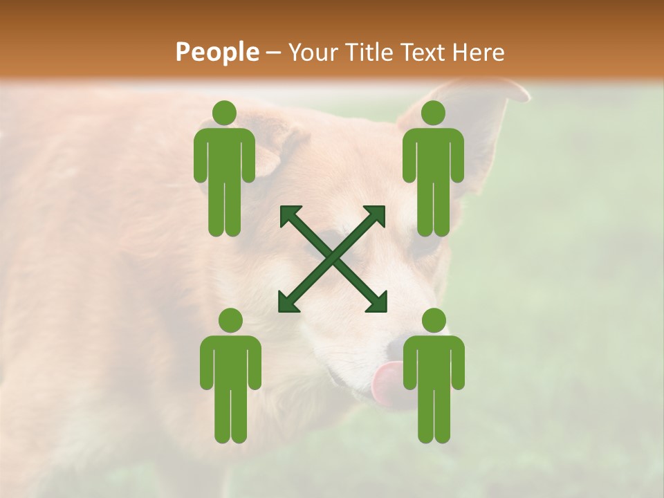 Sad Homeless Outdoor PowerPoint Template