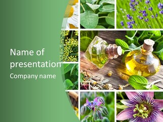 Fennel Alternative Health PowerPoint Template