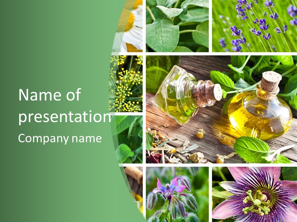 Fennel Alternative Health PowerPoint Template