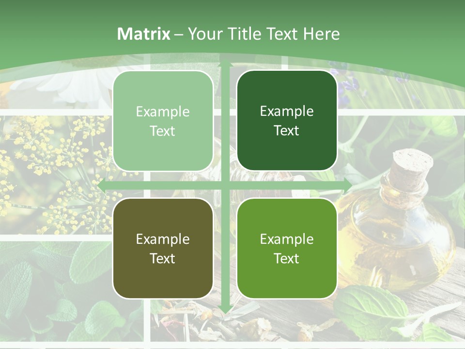 Fennel Alternative Health PowerPoint Template