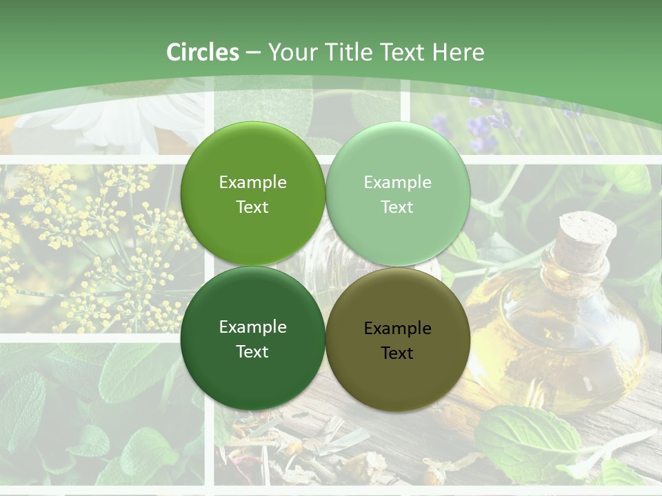 Fennel Alternative Health PowerPoint Template