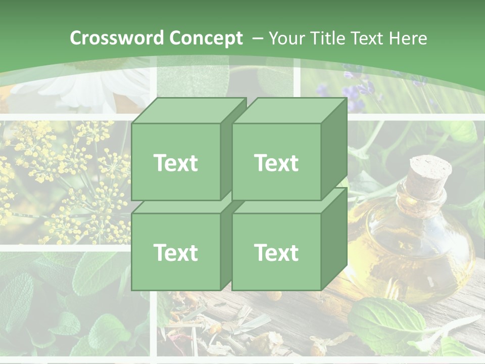 Fennel Alternative Health PowerPoint Template