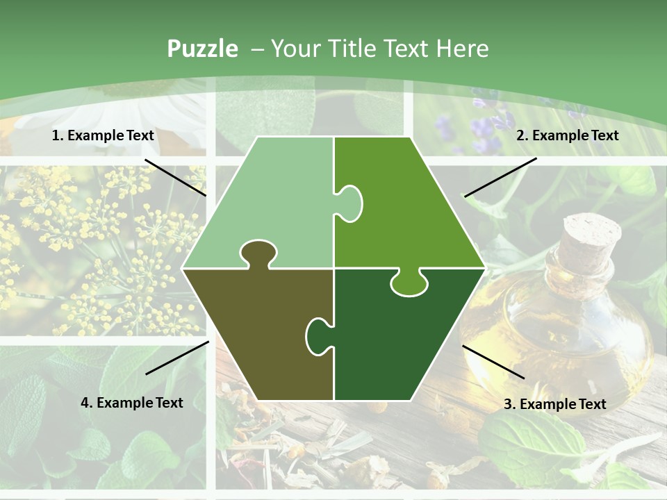 Fennel Alternative Health PowerPoint Template