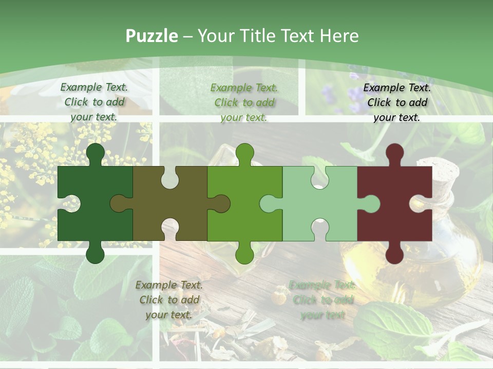 Fennel Alternative Health PowerPoint Template