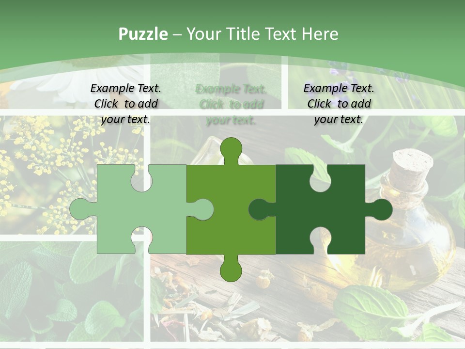 Fennel Alternative Health PowerPoint Template