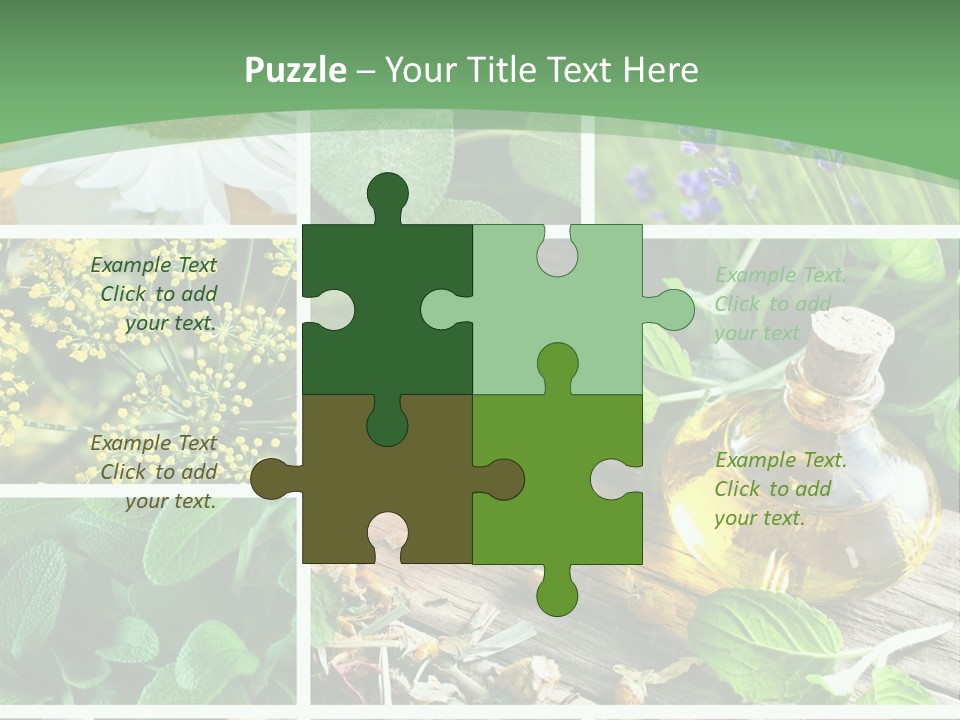 Fennel Alternative Health PowerPoint Template