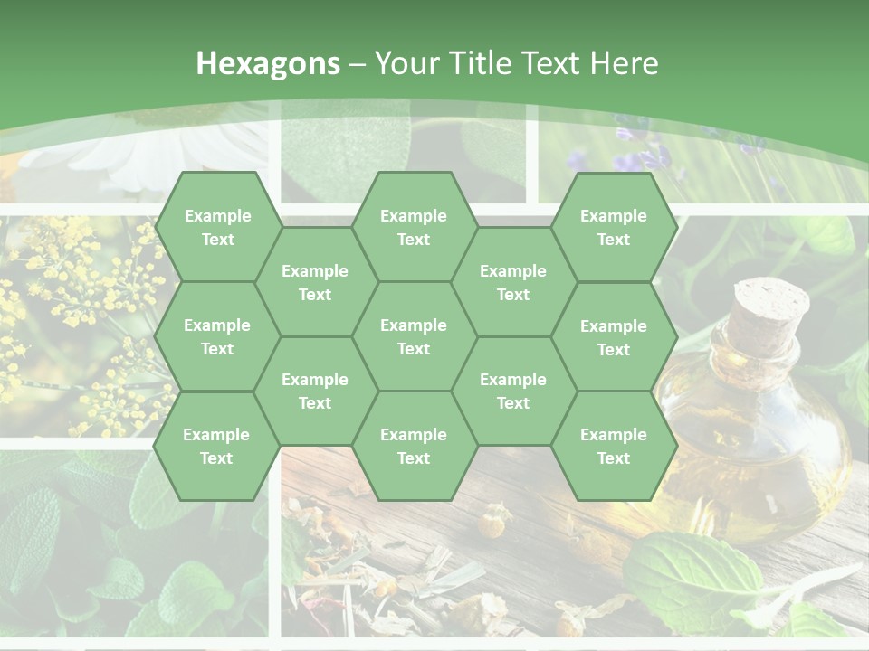 Fennel Alternative Health PowerPoint Template