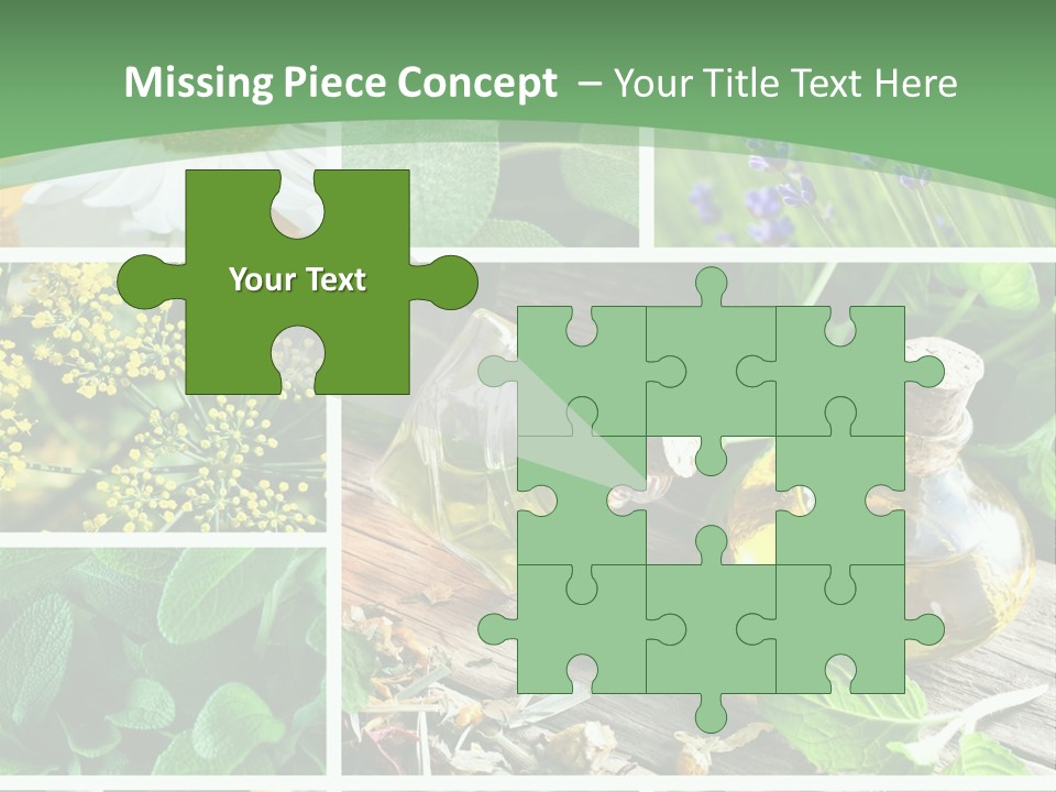 Fennel Alternative Health PowerPoint Template