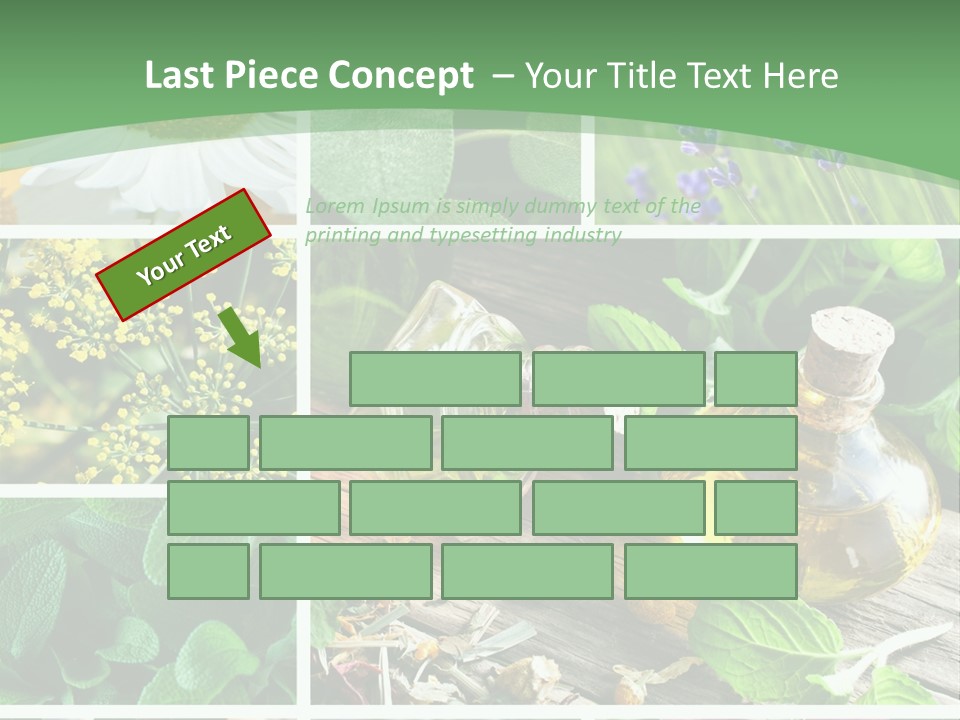 Fennel Alternative Health PowerPoint Template