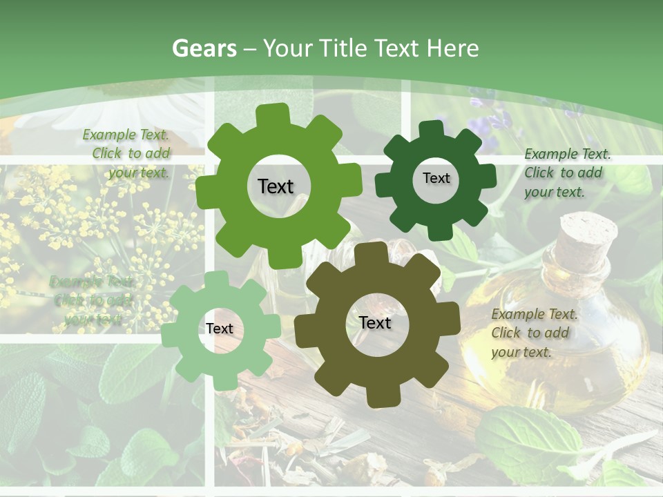 Fennel Alternative Health PowerPoint Template