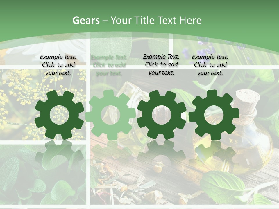 Fennel Alternative Health PowerPoint Template