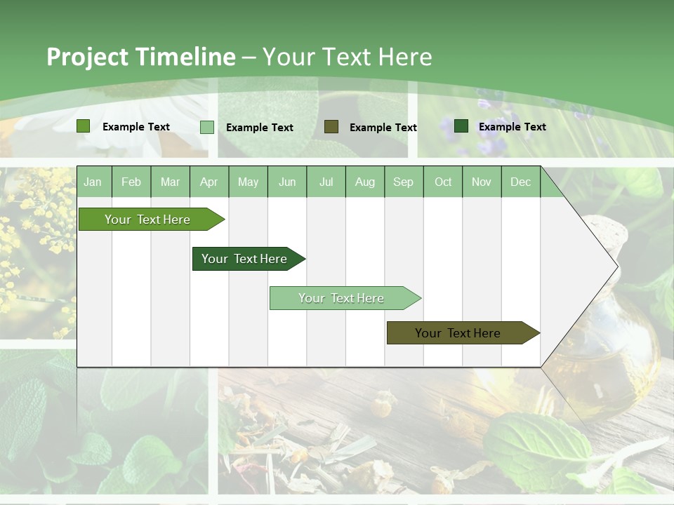 Fennel Alternative Health PowerPoint Template