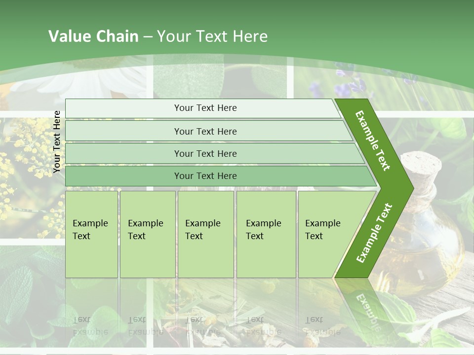 Fennel Alternative Health PowerPoint Template