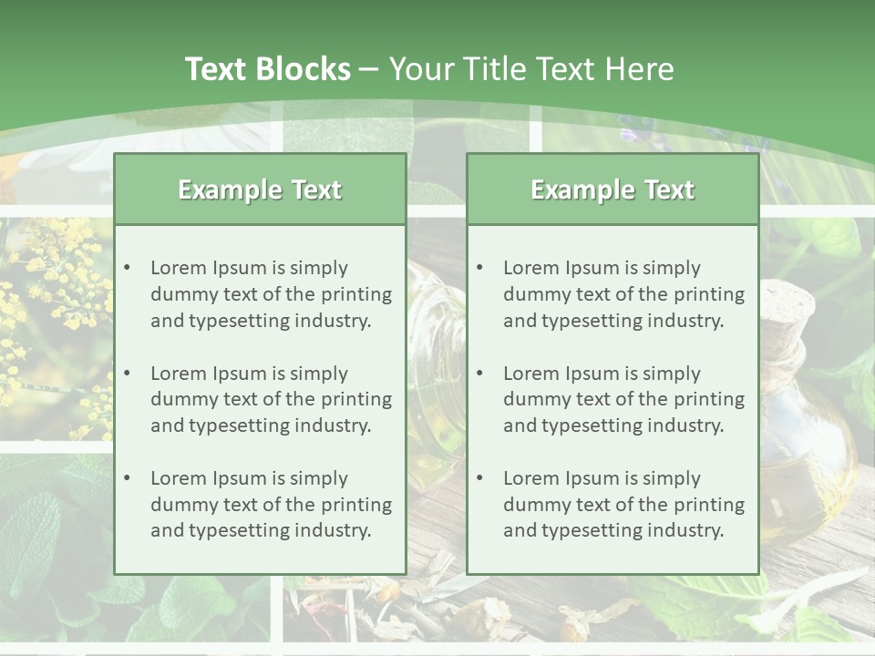 Fennel Alternative Health PowerPoint Template