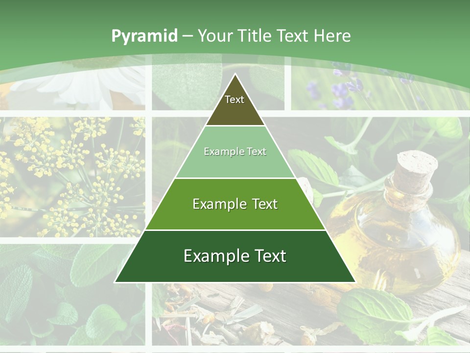 Fennel Alternative Health PowerPoint Template