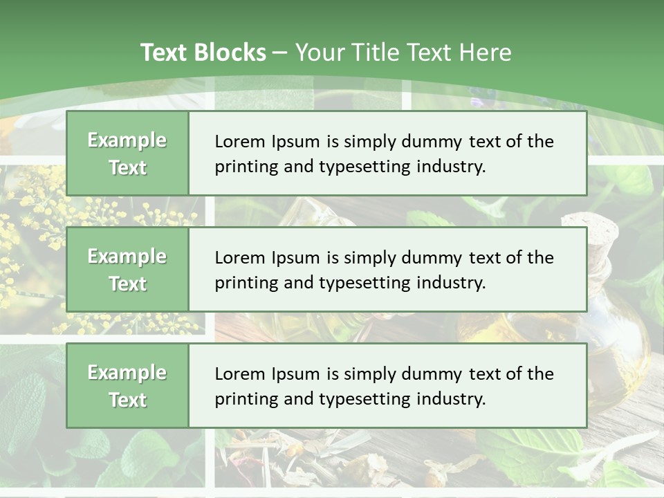 Fennel Alternative Health PowerPoint Template