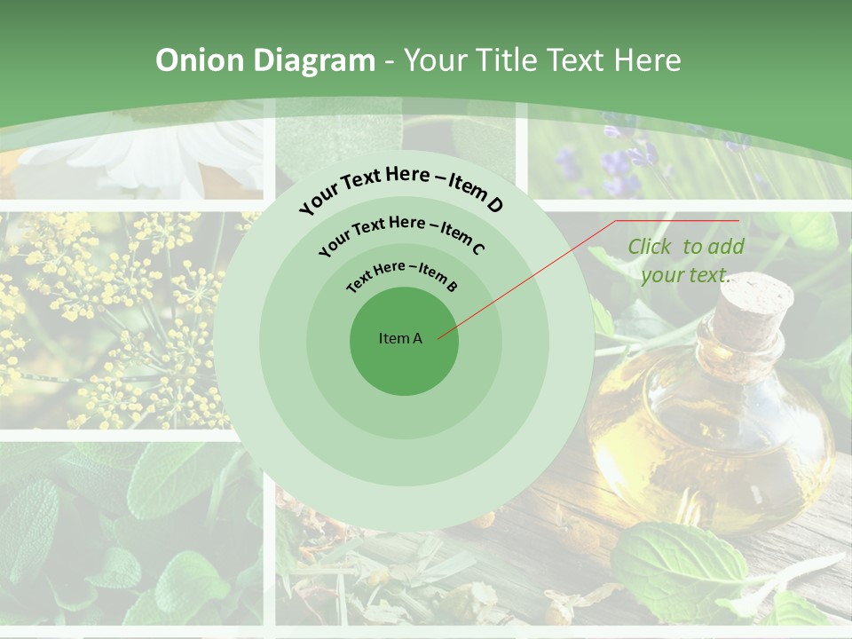 Fennel Alternative Health PowerPoint Template