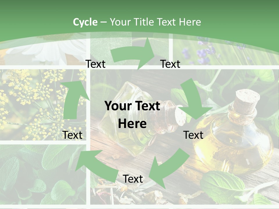 Fennel Alternative Health PowerPoint Template