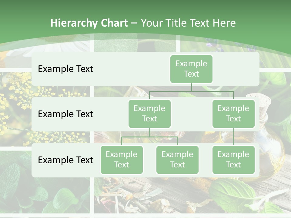 Fennel Alternative Health PowerPoint Template