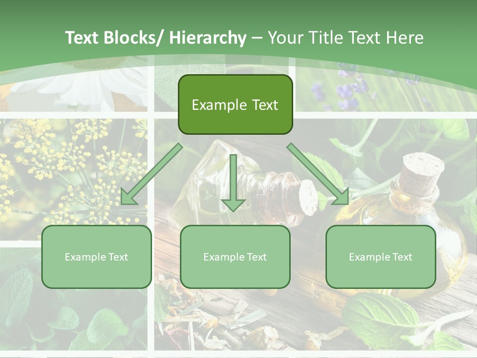 Fennel Alternative Health PowerPoint Template