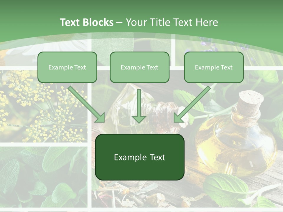 Fennel Alternative Health PowerPoint Template