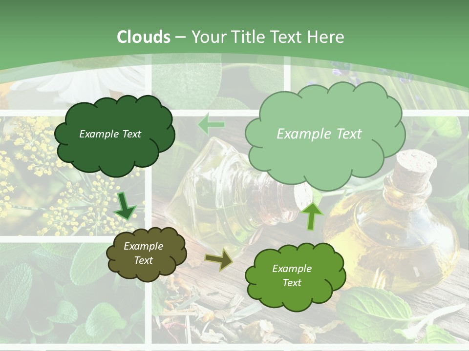Fennel Alternative Health PowerPoint Template