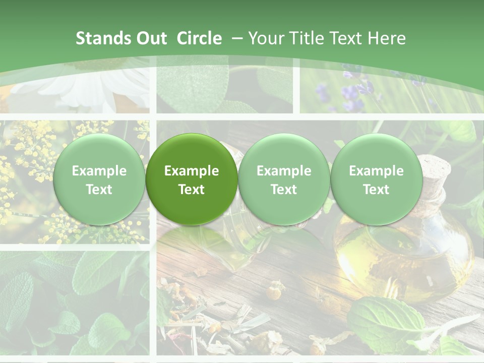 Fennel Alternative Health PowerPoint Template