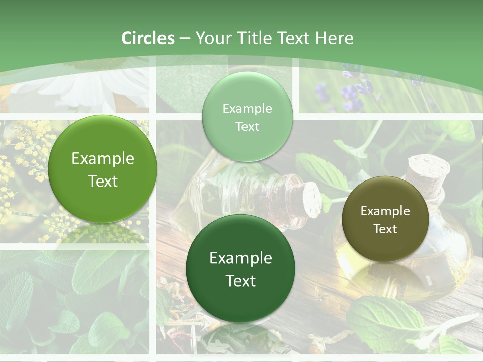 Fennel Alternative Health PowerPoint Template