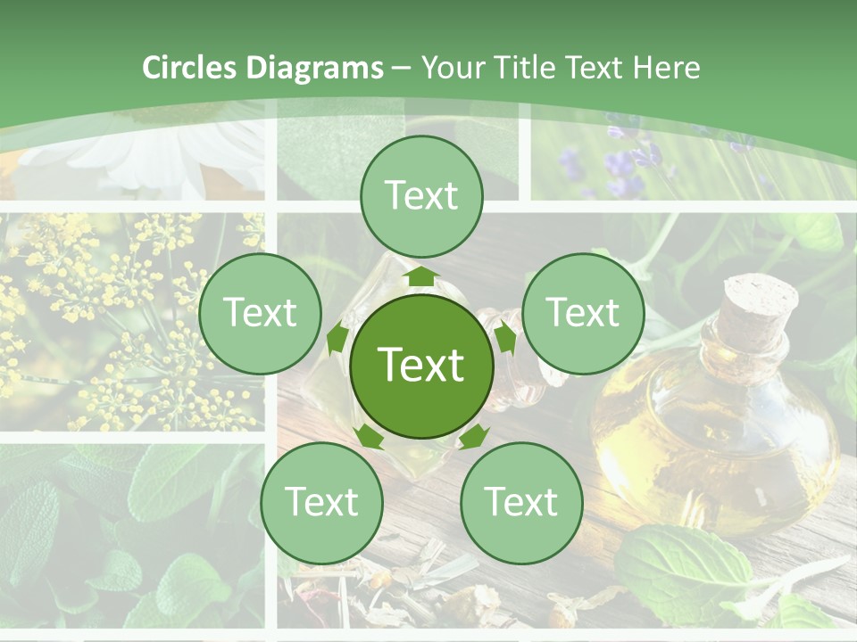 Fennel Alternative Health PowerPoint Template