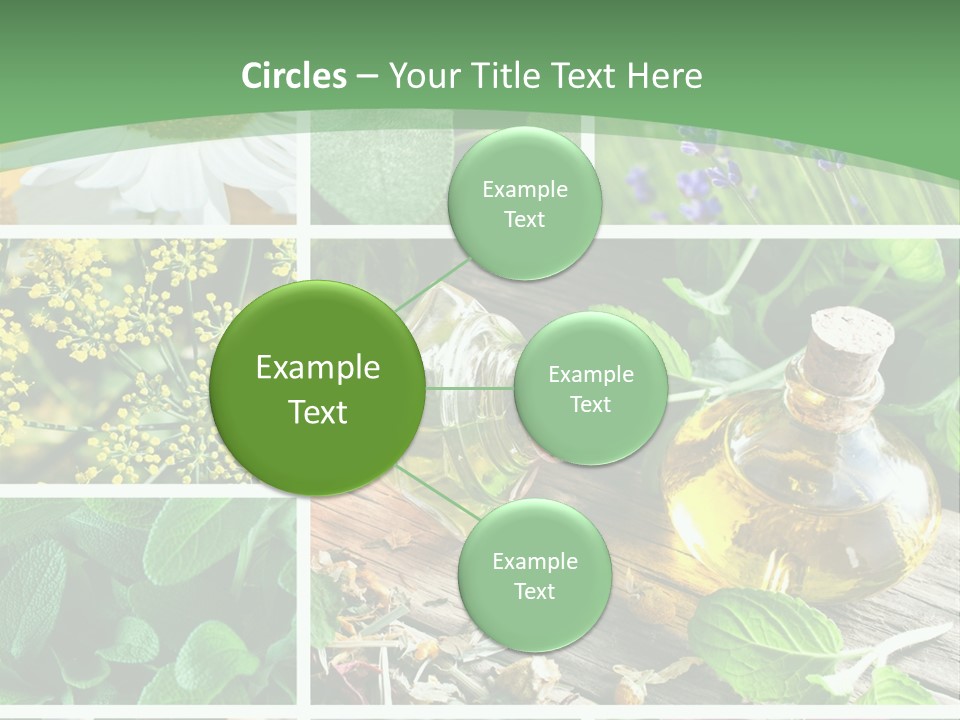 Fennel Alternative Health PowerPoint Template