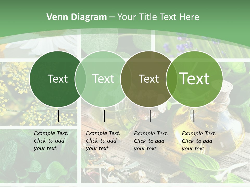 Fennel Alternative Health PowerPoint Template