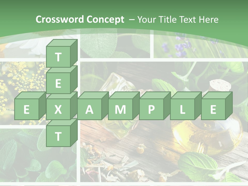 Fennel Alternative Health PowerPoint Template