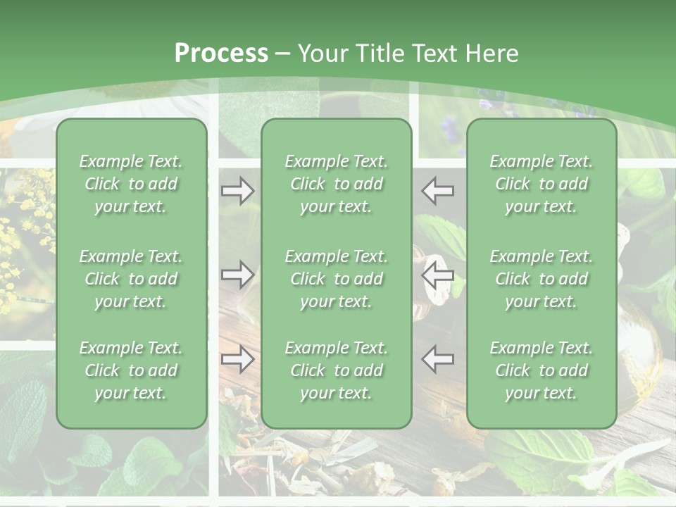Fennel Alternative Health PowerPoint Template