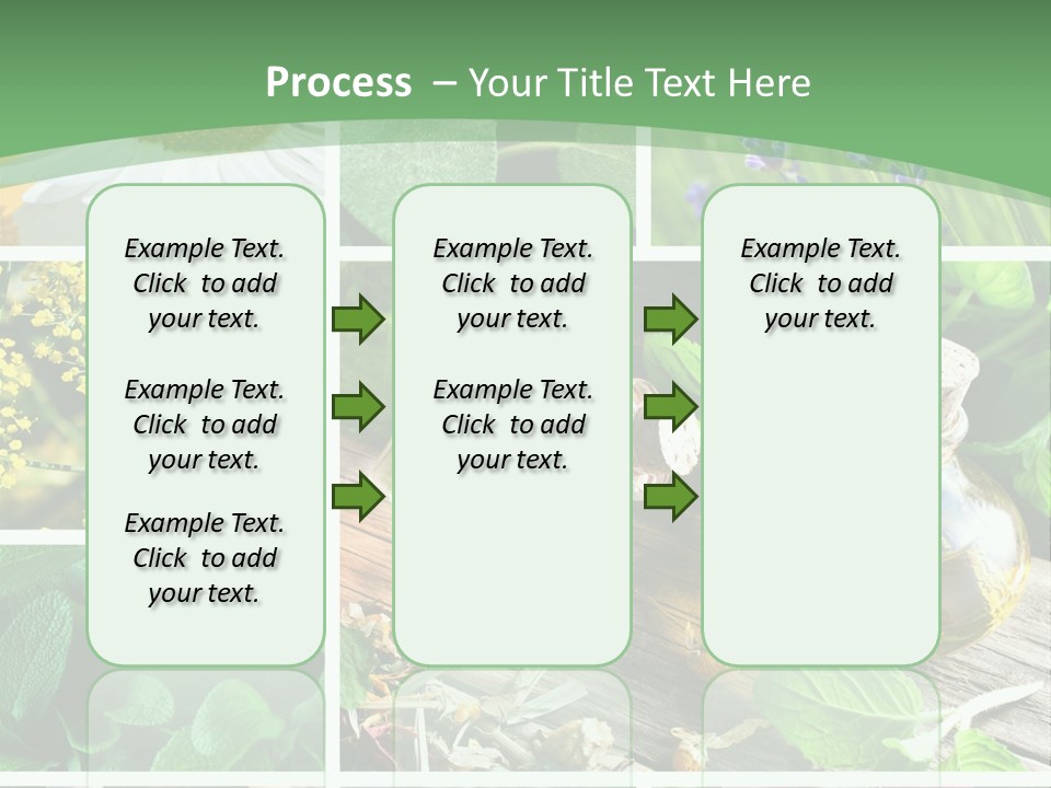 Fennel Alternative Health PowerPoint Template