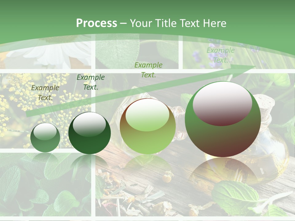 Fennel Alternative Health PowerPoint Template