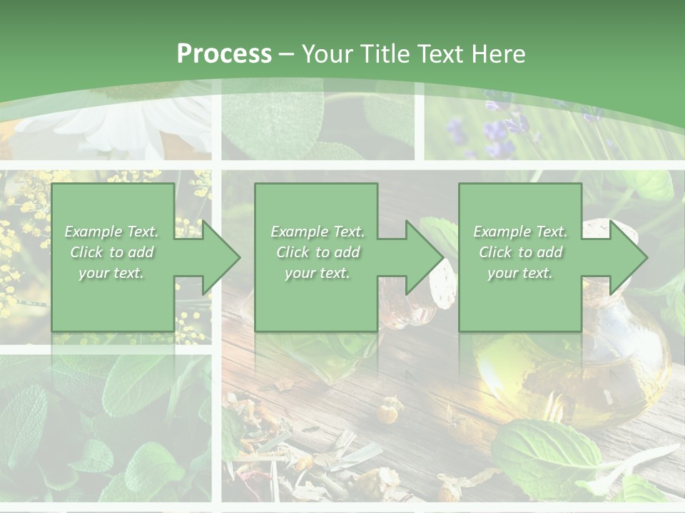 Fennel Alternative Health PowerPoint Template