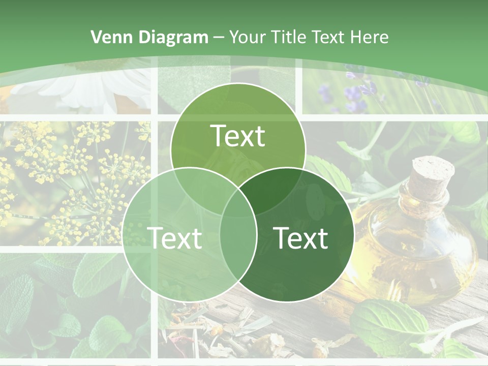 Fennel Alternative Health PowerPoint Template