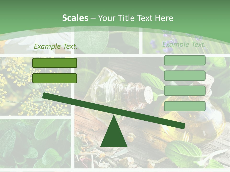 Fennel Alternative Health PowerPoint Template