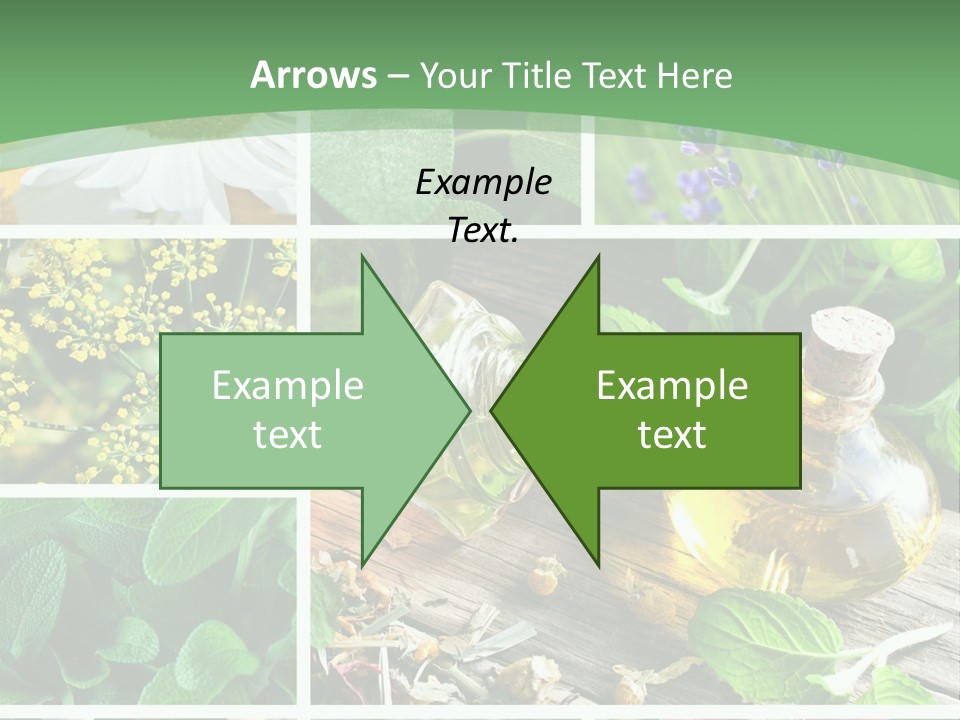 Fennel Alternative Health PowerPoint Template