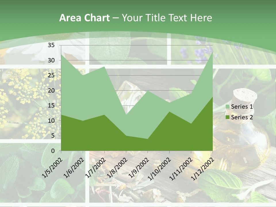 Fennel Alternative Health PowerPoint Template