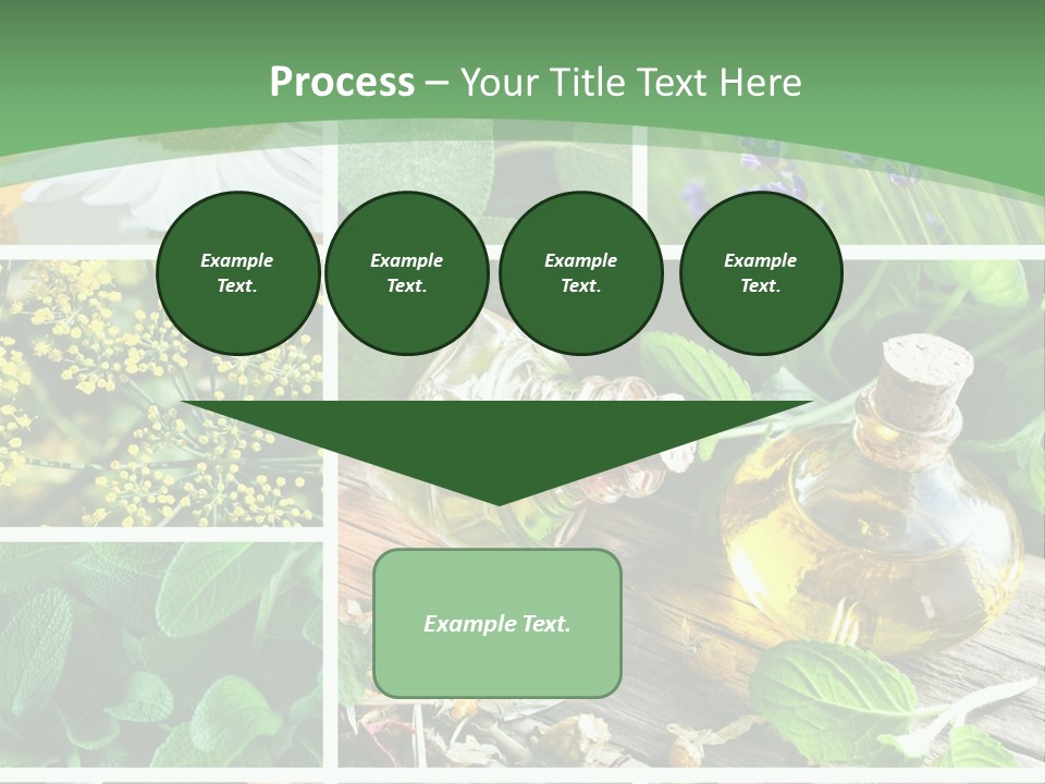 Fennel Alternative Health PowerPoint Template