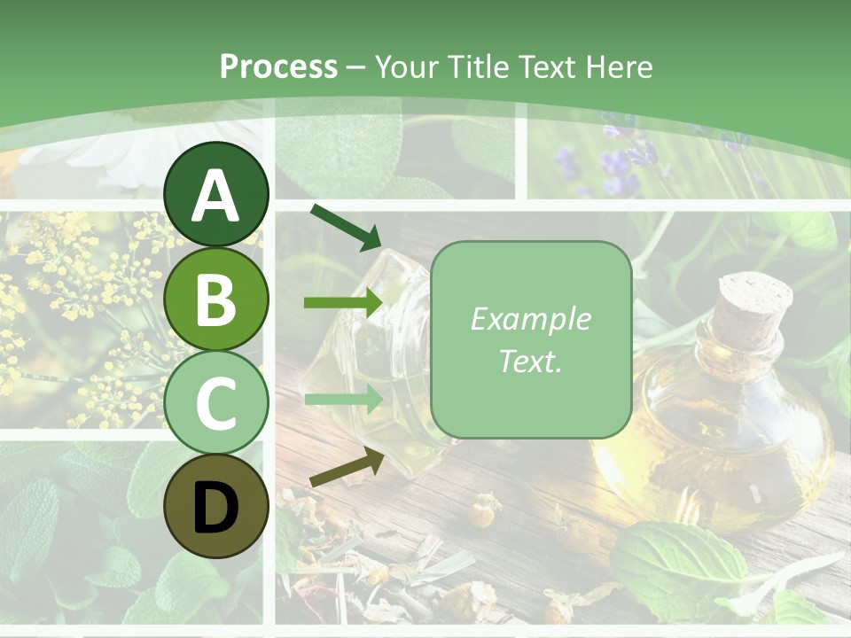 Fennel Alternative Health PowerPoint Template