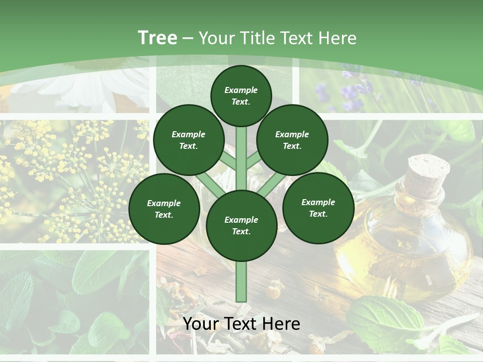 Fennel Alternative Health PowerPoint Template